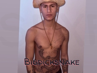 Bigdicksnake