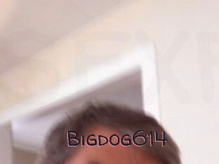 Bigdog614