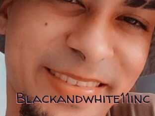 Blackandwhite11inc