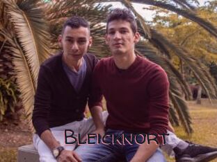 Bleicknort