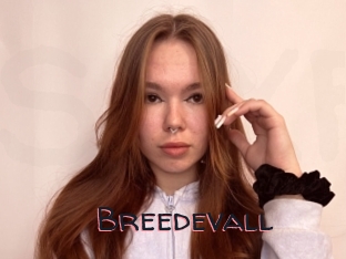 Breedevall