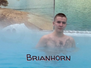 Brianhorn