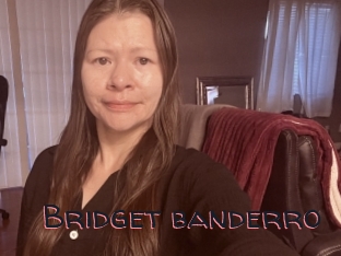 Bridget_banderro