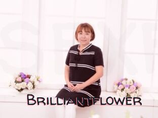 Brilliantflower