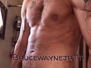 Brucewaynejr1111