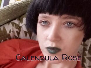 Calendula_Rose