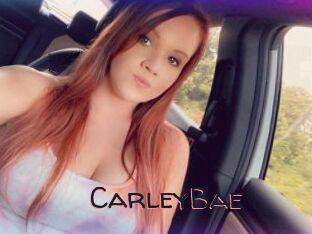 CarleyBae