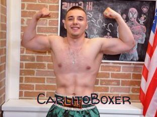CarlitoBoxer