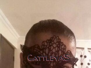 Cattleya_S