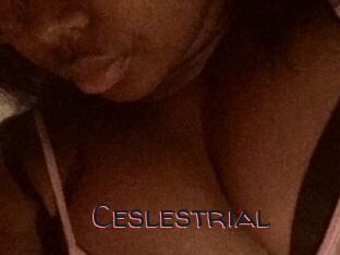 Ceslestrial