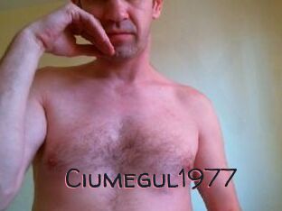 Ciumegul1977
