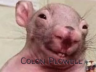 Colon_Plowell