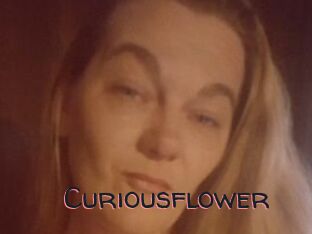 Curiousflower