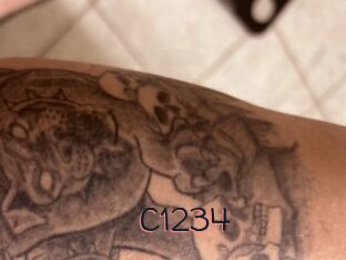 C1234
