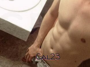 Cal23