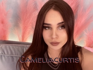 Cameliacurtis