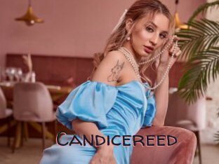 Candicereed