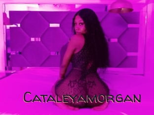 Cataleyamorgan