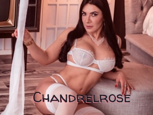 Chandrelrose