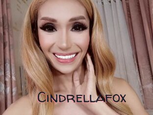 Cindrellafox