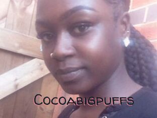 Cocoabigpuffs