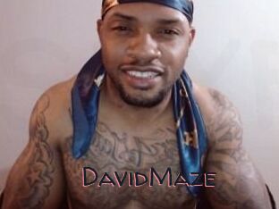 David_Maze