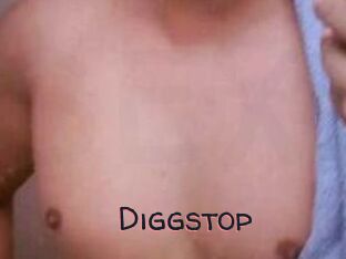 Diggstop