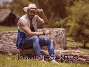 DomiinicSantos