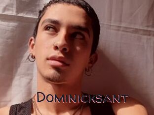 Dominicksant