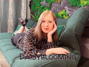 Daisyblooming