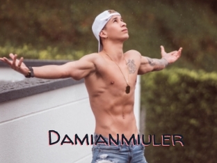 Damianmiuler