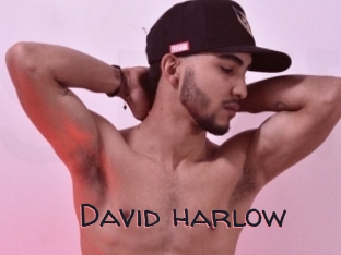 David_harlow