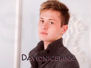 Davidniceking