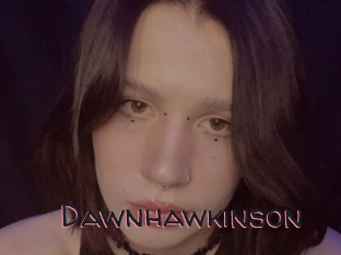 Dawnhawkinson