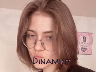 Dinamint
