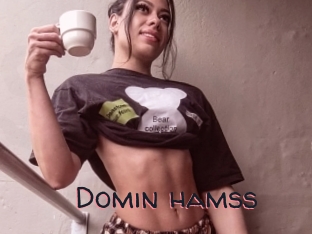Domin_hamss