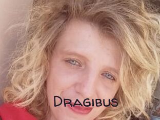 Dragibus