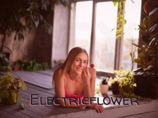 Electricflower