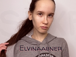 Elvinaabner