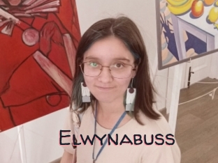 Elwynabuss