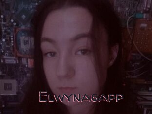 Elwynagapp