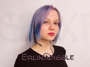 Erlinadiggle