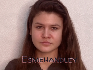 Esmehandley