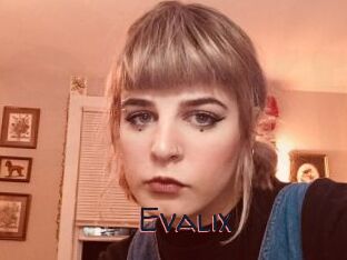 Evalix