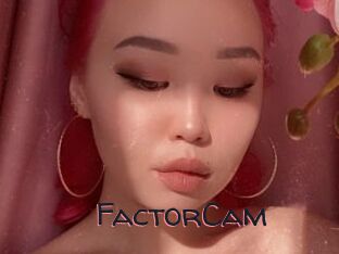 FactorCam