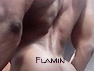 Flamin