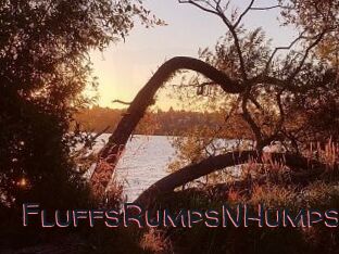 FluffsRumpsNHumps