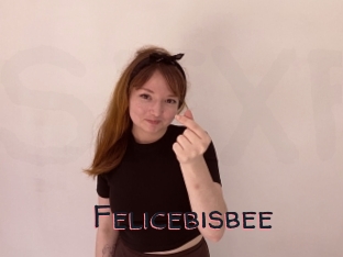 Felicebisbee