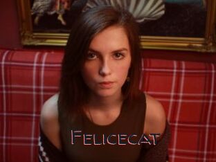 Felicecat