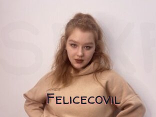 Felicecovil